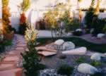 Las Vegas Landscape Design