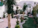 Las Vegas Landscape Design